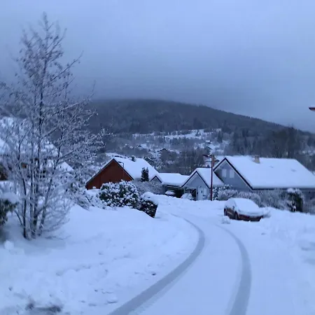 Chalet Chalet Des Musiciens Gérardmer